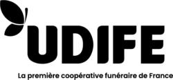Logo Udife
